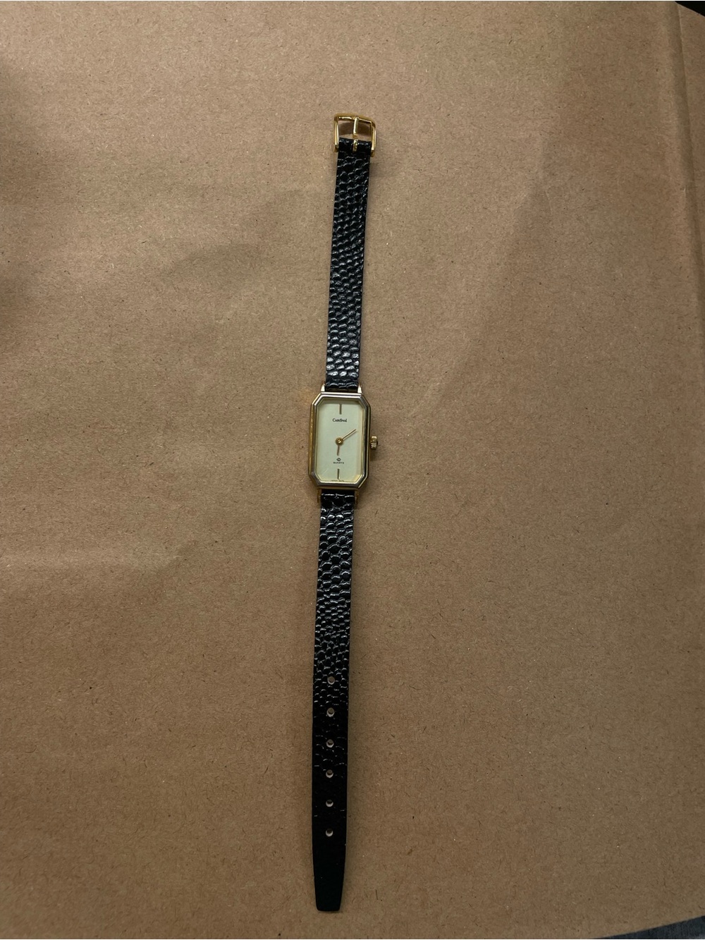 Cardinal Classic Black Leather Strap Women's Watch